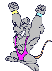 Halterofilia-16.gif