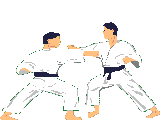 Judo-01.gif