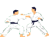 Judo-01.gif