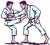 Judo-02.gif