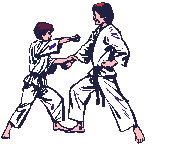 Judo-04.gif