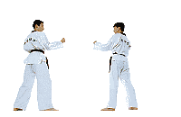 Judo-11.gif
