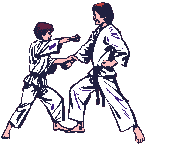 Karate-01.gif