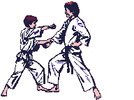 Karate-01.gif