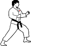 Karate-03.gif
