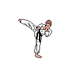 Karate-04.gif