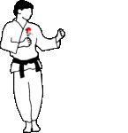 Karate-05.gif