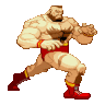 Lucha-15.gif