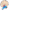 Paracaidismo-04.gif
