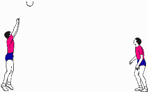 Voleibol-11.gif