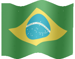 Brasileno-10.gif