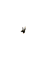 Egipto-72.gif