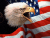 Estados-Unidos-de-America-105.gif