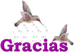 Gracias-09.gif