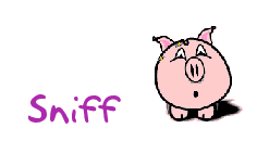Snif-02.gif
