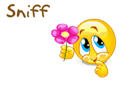 Snif-05.gif