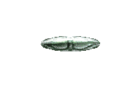 Extraterrestres-332.gif