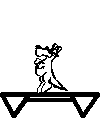 Cama-elastica-05.gif