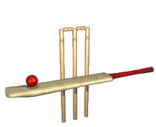 Criquet-01.gif