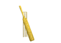 Criquet-03.gif
