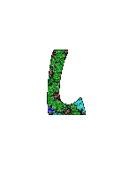 Florales-brillantes-12.gif