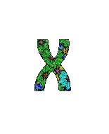 Florales-brillantes-24.gif