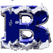 Nevadas-12.gif