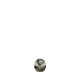 Rodando-28.gif