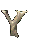 Toxicas-25.gif