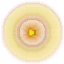 Western-25.gif