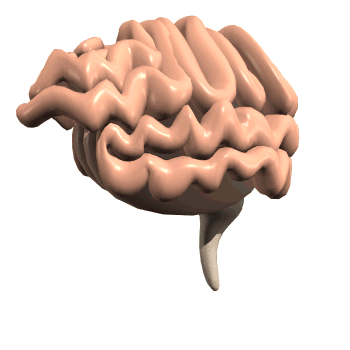 Medicina-61.gif