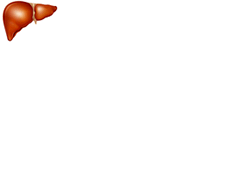 Higado-03.gif