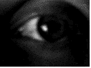 Medicina-303.gif