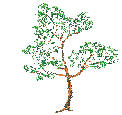 Naturaleza-10.gif