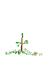 Naturaleza-14.gif