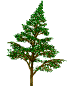Naturaleza-28.gif