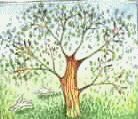 Naturaleza-69.gif