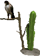 Naturaleza-87.gif