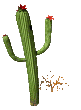 Naturaleza-97.gif