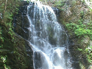 Naturaleza-Catarata-11.gif
