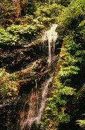 Naturaleza-Catarata-25.gif