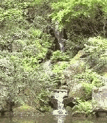 Naturaleza-Catarata-28.gif