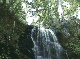 Naturaleza-Catarata-29.gif