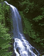 Naturaleza-Catarata-34.gif