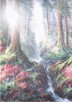 Naturaleza-Catarata-36.gif