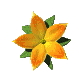 Naturaleza-146.gif