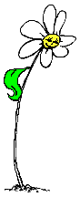 Naturaleza-147.gif