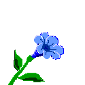 Naturaleza-150.gif