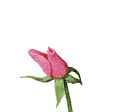 Naturaleza-154.gif