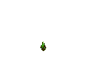 Naturaleza-155.gif